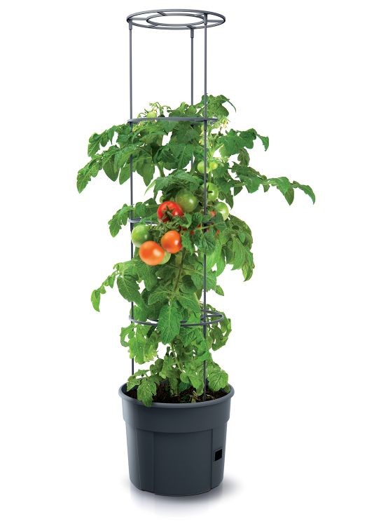 Prosperplast kvetináč na pestovanie paradajok Tomato Grower antracit