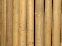 Bambusový plot 180x200 cm