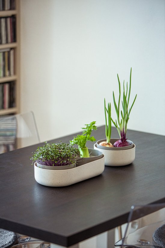 Plastia Velká farma Microgreens+Regrow