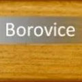 Borovice