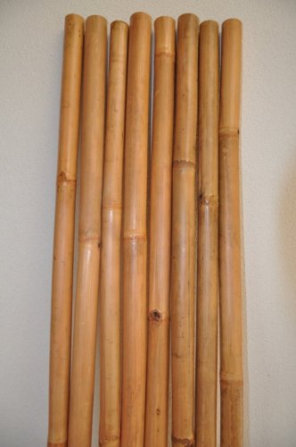 Bambusová tyč délka 2 metry - lakovaná medová