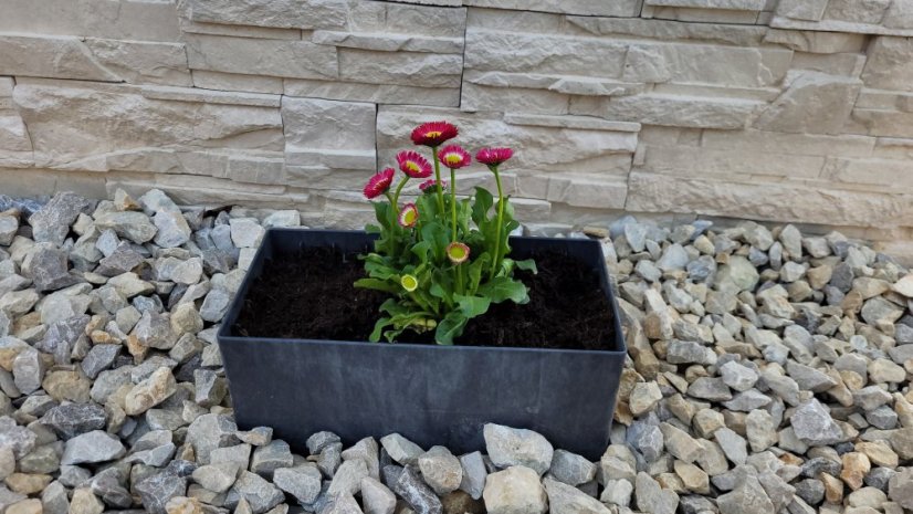 Flexi Element truhlík