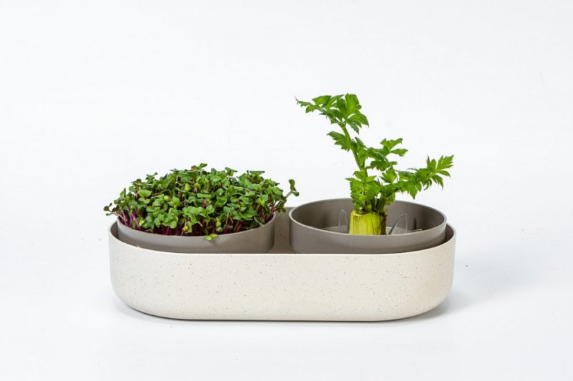 Plastia Velká farma Microgreens+Regrow