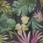 Motiv Monstera