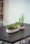 Plastia Velká farma Microgreens+Regrow