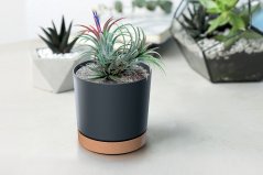 Květináč TUBO PM 33,8cm antracit s miskou v barvě naturo