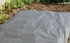 Mulčovací netkaná textilie role 1,6m x 100m, 50g/m2, černá