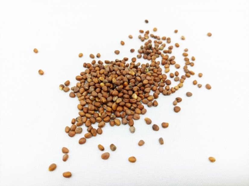Plastia Štartovacia sada Microgreens