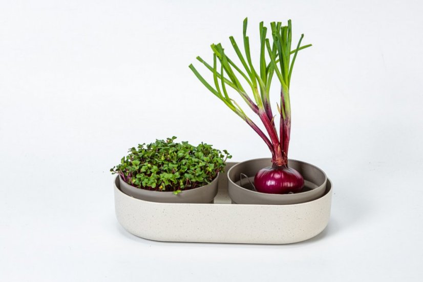 Plastia Velká farma Microgreens+Regrow