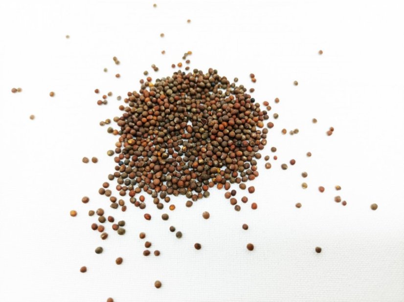 Plastia Štartovacia sada Microgreens