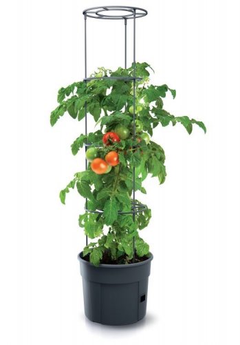 Prosperplast květináč na pěstování rajčat Tomato Grower antracit