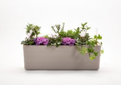 Samozavlažovací truhlík Berberis 60 cm taupe/slonová kost