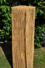 Rohož plotová rákos 150x500 cm