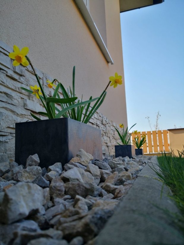 Flexi Element truhlík