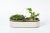Plastia Velká farma Microgreens+Regrow