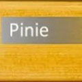 Pinie