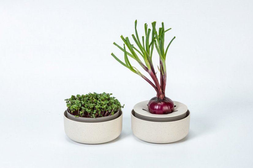 Plastia klíčiaca miska Microgreens