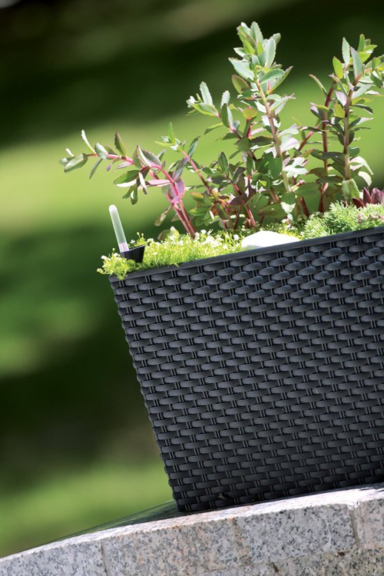 Prosperplast truhlík Rato case