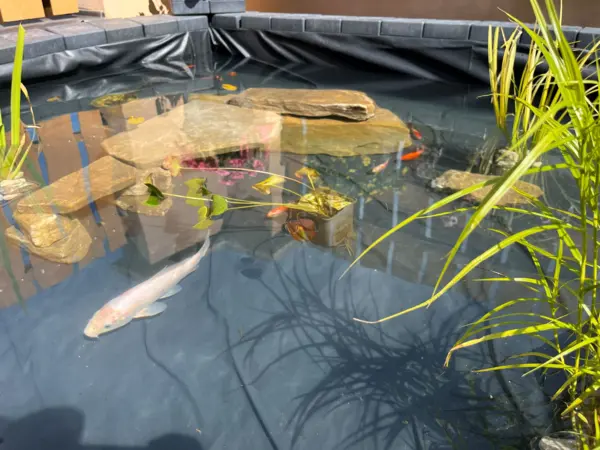 Flexi Element jezírko