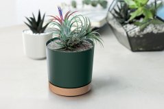 Květináč TUBO PM 33,8cm tmavě zelený s miskou v barvě naturo