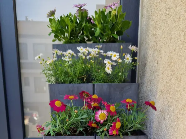 Flexi Element sada truhlíků