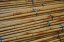 Bambusová tyč délka 2 metry