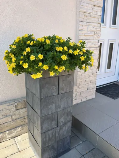 Flexi Element zvýšený truhlík