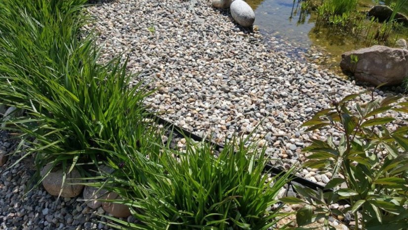 AMISPOL® skrytý obrubník výška 12,5 cm - 12m