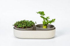 Plastia Velká farma Microgreens+Regrow