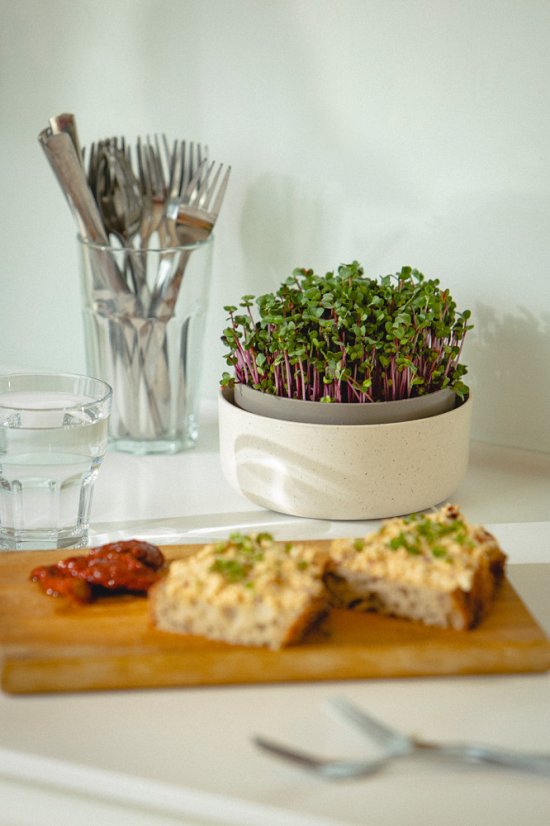 Plastia klíčiaca miska Microgreens