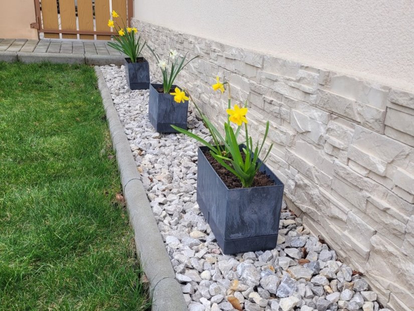 Flexi Element truhlík