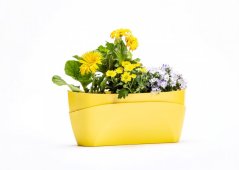 Plastia Samozavlažovací truhlík Doppio olivová - 38 cm