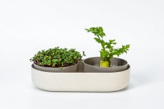 Plastia Velká farma Microgreens+Regrow